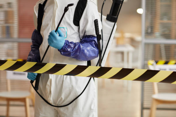 Professional Sewage Cleanup technician working in Greenwich, OH